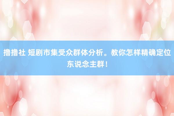 撸撸社 短剧市集受众群体分析。教你怎样精确定位东说念主群！