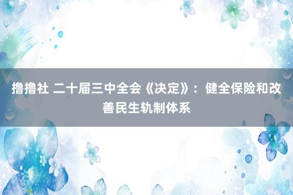 撸撸社 二十届三中全会《决定》：健全保险和改善民生轨制体系