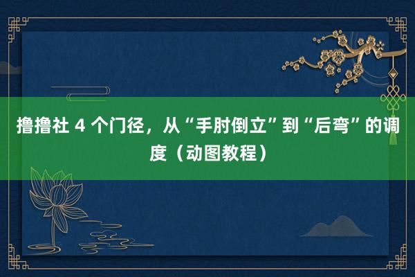 撸撸社 4 个门径，从“手肘倒立”到“后弯”的调度（动图教程）