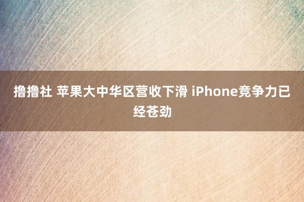 撸撸社 苹果大中华区营收下滑 iPhone竞争力已经苍劲