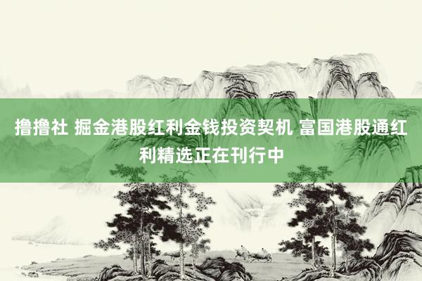 撸撸社 掘金港股红利金钱投资契机 富国港股通红利精选正在刊行中