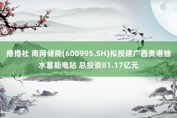 撸撸社 南网储能(600995.SH)拟投建广西贵港抽水蓄能电站 总投资81.17亿元