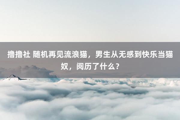 撸撸社 随机再见流浪猫，男生从无感到快乐当猫奴，阅历了什么？