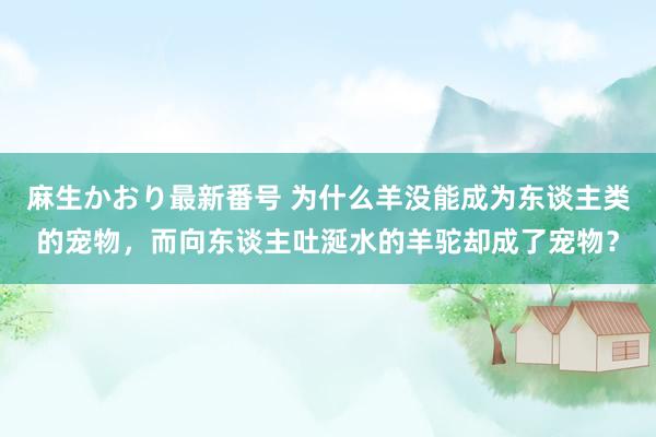 麻生かおり最新番号 为什么羊没能成为东谈主类的宠物，而向东谈主吐涎水的羊驼却成了宠物？