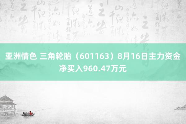 亚洲情色 三角轮胎（601163）8月16日主力资金净买入960.47万元