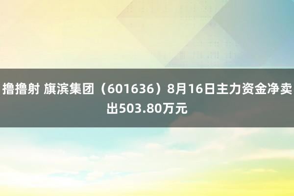 撸撸射 旗滨集团（601636）8月16日主力资金净卖出503.80万元