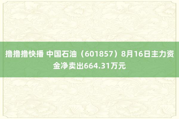 撸撸撸快播 中国石油（601857）8月16日主力资金净卖出664.31万元