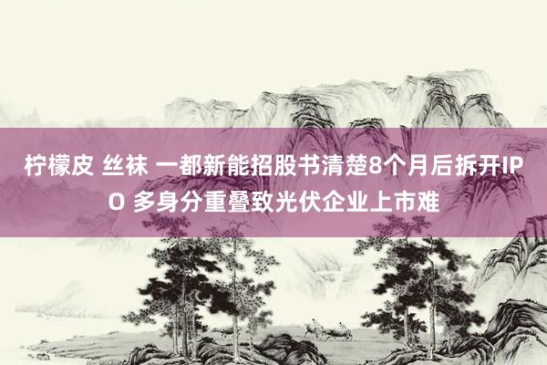 柠檬皮 丝袜 一都新能招股书清楚8个月后拆开IPO 多身分重叠致光伏企业上市难