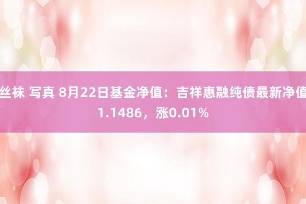 丝袜 写真 8月22日基金净值：吉祥惠融纯债最新净值1.1486，涨0.01%