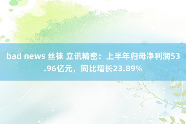 bad news 丝袜 立讯精密：上半年归母净利润53.96亿元，同比增长23.89%