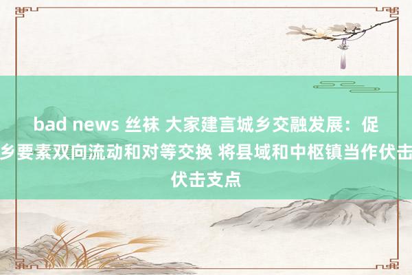 bad news 丝袜 大家建言城乡交融发展：促进城乡要素双向流动和对等交换 将县域和中枢镇当作伏击支点