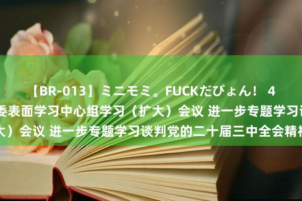 【BR-013】ミニモミ。FUCKだぴょん！ 4ばん 国度税务总局召开党委表面学习中心组学习（扩大）会议 进一步专题学习谈判党的二十届三中全会精神