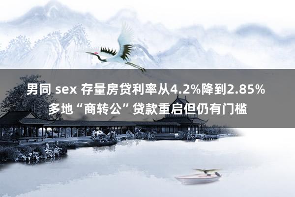 男同 sex 存量房贷利率从4.2%降到2.85% 多地“商转公”贷款重启但仍有门槛