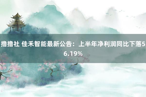 撸撸社 佳禾智能最新公告：上半年净利润同比下落56.19%