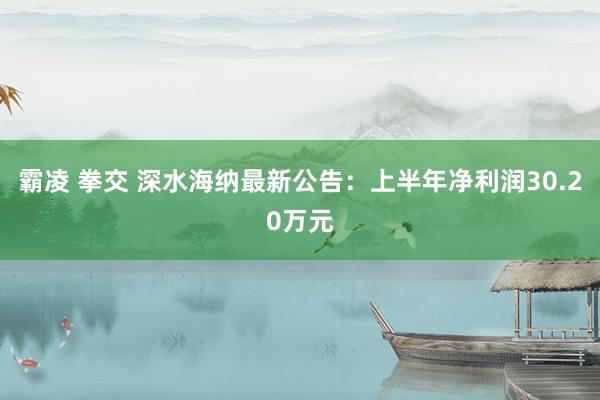 霸凌 拳交 深水海纳最新公告：上半年净利润30.20万元