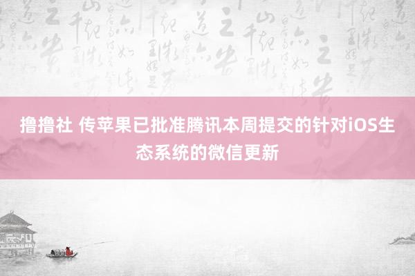 撸撸社 传苹果已批准腾讯本周提交的针对iOS生态系统的微信更新