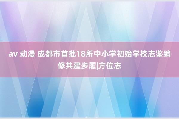 av 动漫 成都市首批18所中小学初始学校志鉴编修共建步履|方位志