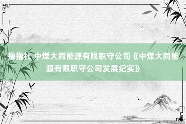 撸撸社 中煤大同能源有限职守公司《中煤大同能源有限职守公司发展纪实》