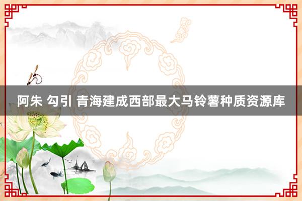 阿朱 勾引 青海建成西部最大马铃薯种质资源库