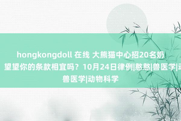 hongkongdoll 在线 大熊猫中心招20名奶爸奶妈，望望你的条款相宜吗？10月24日律例|憨憨|兽医学|动物科学